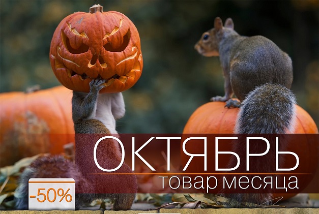 Распродажа тротуарной плитки и бордюров Braer Распродажа тротуарной плитки и бордюров Braer