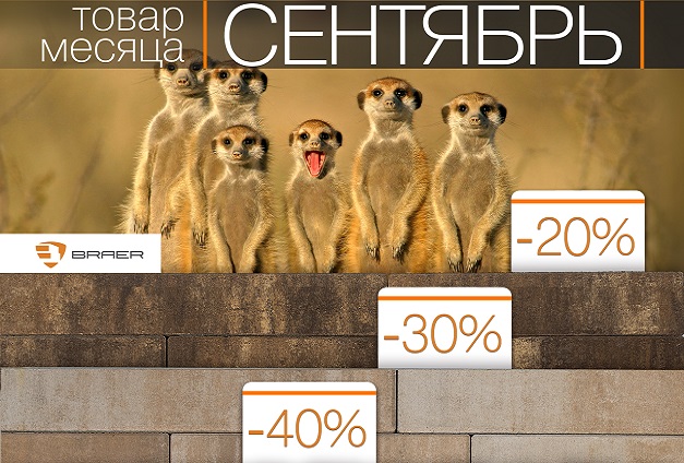 Распродажа тротуарной плитки Braer — скидки до 50% Распродажа тротуарной плитки Braer — скидки до 50%