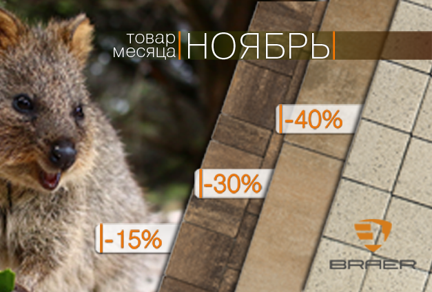 Скидки до 50% на тротуарную плитку Braer Скидки до 50% на тротуарную плитку Braer