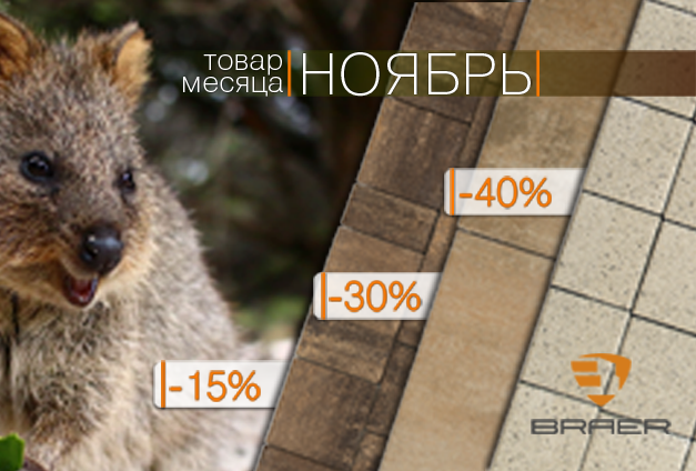 Скидки до 50% на тротуарную плитку Braer