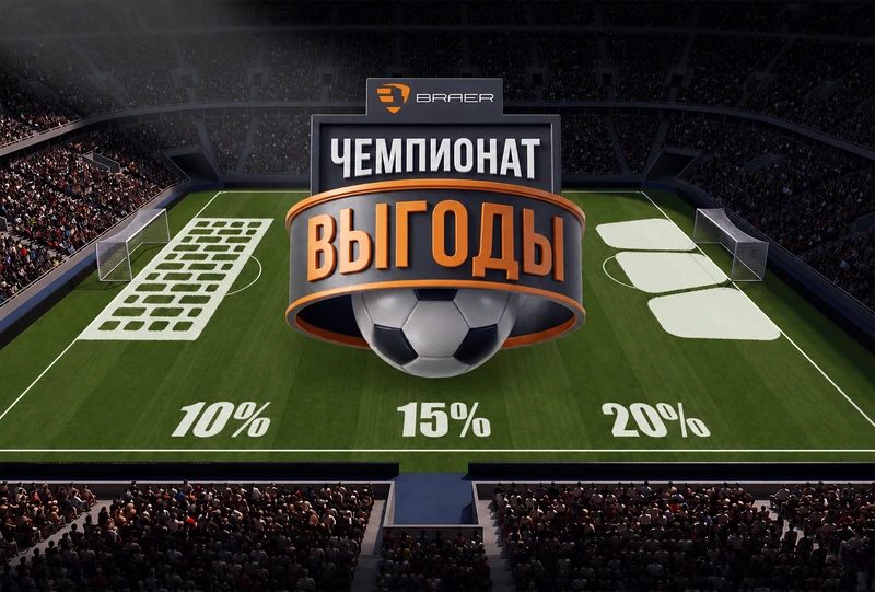 Лицевой кирпич, плитка и бордюры BRAER со скидками до 20%