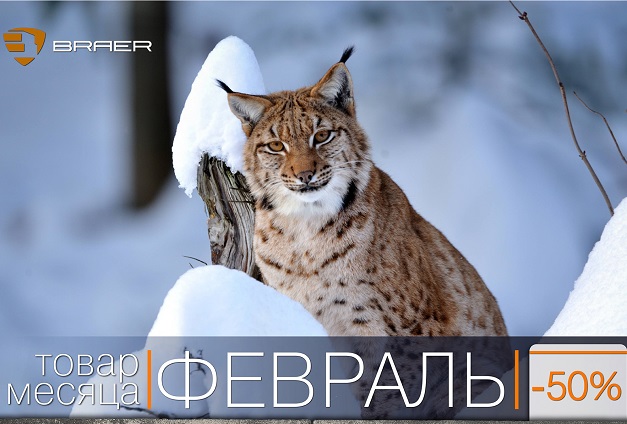 Скидки до 50% на тротуарную плитку Braer до конца февраля Скидки до 50% на тротуарную плитку Braer до конца февраля