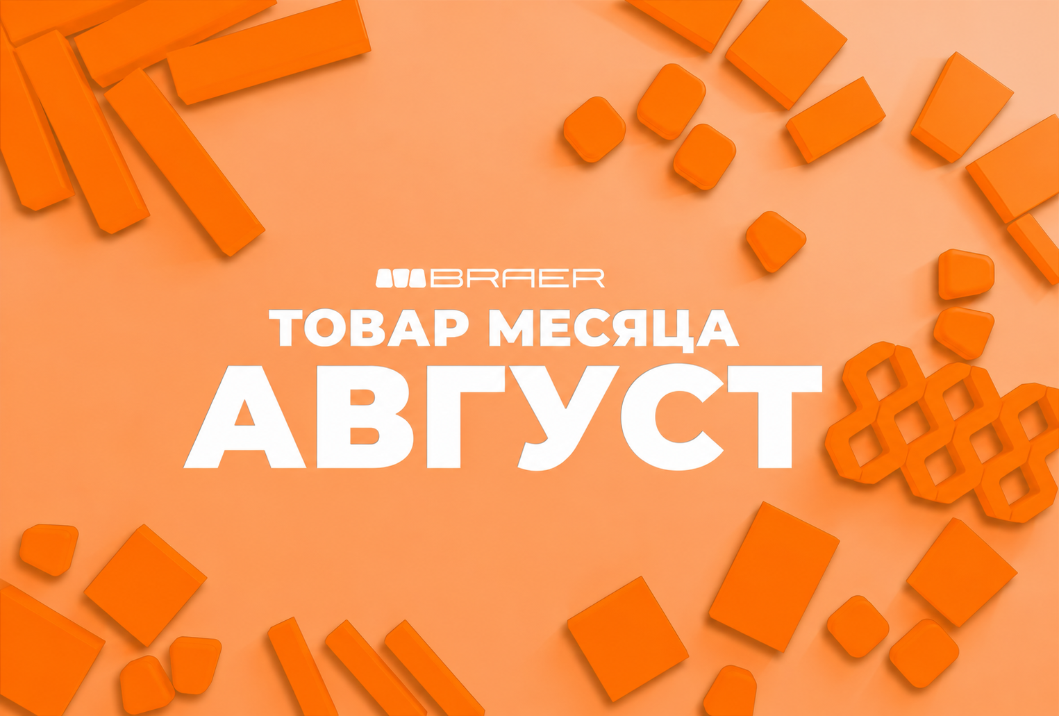 Тротуарная плитка и бордюры BRAER со скидками до 60%