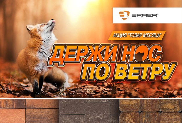 Скидки до 60% на тротуарную плитку и бордюры «Браер» Скидки до 60% на тротуарную плитку и бордюры «Браер»