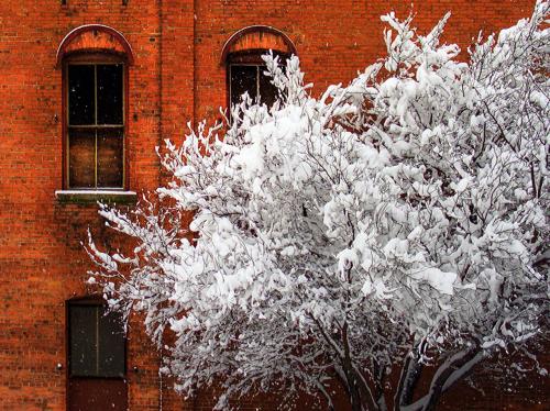 Устойчивость к климатическим условиям Устойчивость к климатическим условиям