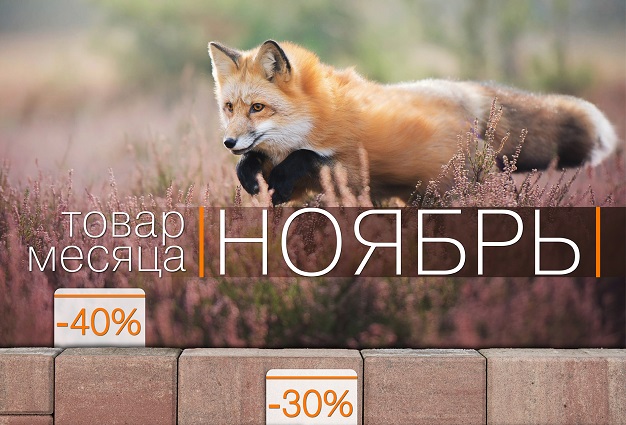 Скидки до 50% на тротуарную плитку и бордюры Braer Скидки до 50% на тротуарную плитку и бордюры Braer