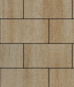 Тротуарная плитка Выбор Прямоугольник Искусственный камень степняк частичный прокрас 900х300х80 мм – купить в Москве