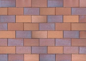 Брусчатка клинкерная ABC - Pflasterklinker Herbstlaub-geflammt полный прокрас 200х100х40 мм – купить в Москве
