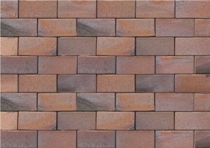 Тротуарная плитка ABC - Pflasterklinker Carbo (rot-bunt-Kohlebrand) полный прокрас 240х118х52 мм – купить в Москве