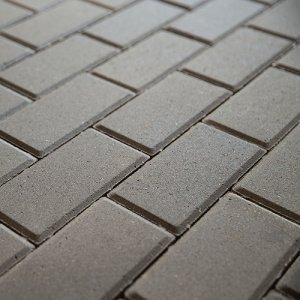 Брусчатка Steingot Стандарт Прямоугольник серый полный прокрас 200х100х80 мм – купить в Москве