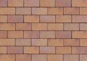 Брусчатка клинкерная ABC - Pflasterklinker Herbstlaub-hell полный прокрас 200х100х52 мм – купить в Москве