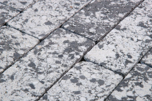 Тротуарная плитка Фабрика Готика Granite Плита Finerro диорит частичный прокрас 600х300х60 мм – купить в Москве