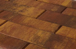 Тротуарная плитка Braer Premium Домино сафари частичный прокрас 640/480/360/280х160/120х60 мм – купить в Москве