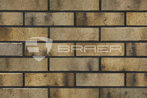 Кирпич керамический облицовочный Braer M150-M200 PRO 3.03 1 NF 250x120x65 рис 4
