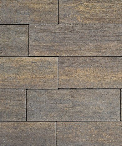 Тротуарная плитка Выбор Стоунвуд Премиум платан частичный прокрас 350/450/550/650х190х60 мм рис 1