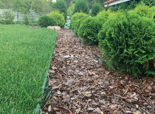 Бордюр пластиковый Standartpark Kanta SP Б-1000.10.02-ПП 10000х16х100 мм оливковый 82552-Ол рис 2