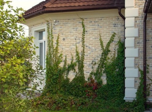Искусственный камень плоский White Hills Брюгге Брик 315-30 желтый рис 2