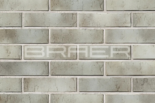 Кирпич керамический облицовочный Braer M150-M200 PRO 72.03 1 NF 250x120x65 терра рис 2