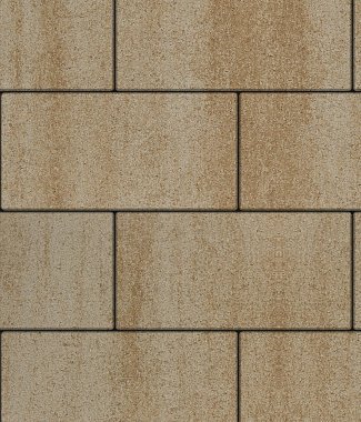 Тротуарная плитка Выбор Прямоугольник Искусственный камень степняк частичный прокрас 900х300х80 мм рис 1