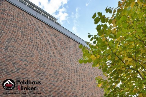 Кирпич клинкерный Feldhaus Klinker Sintra М1000 K685WDF 215х102х65 ardor nelino sintra рельефный рис 2