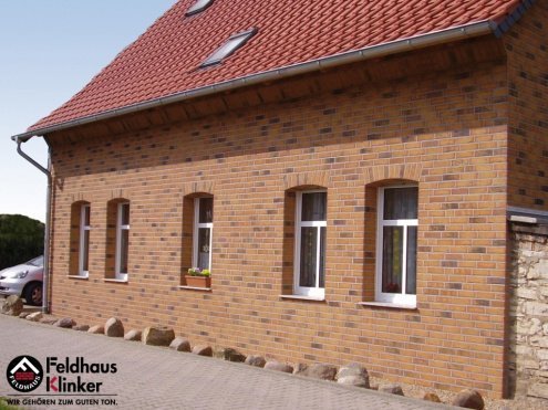 Кирпич клинкерный Feldhaus Klinker Sintra М1000 K684WDF 215х102х65 nolani osaca рельефный рис 3
