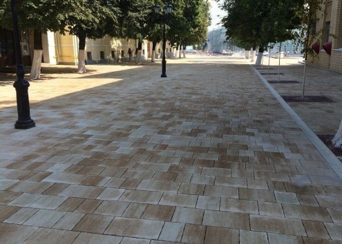 Тротуарная плитка Выбор Искусственный камень Антара степняк частичный прокрас 500/450/400/300/250/200х300х60 мм рис 4