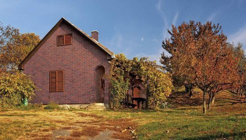Клинкерная плитка King Klinker Old Castle 1001057 aria rustica HF21 240х71х10 мм плоский элемент рис 3