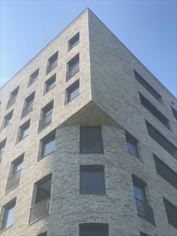 Кирпич ручной формовки Engels Baksteen Handform Carthago Carrera М175 DF 210х100х65 мм под старину белый рис 2