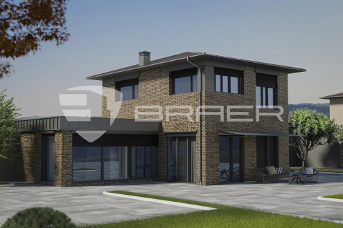 Кирпич керамический облицовочный Braer M150-M200 PRO 3.03 1 NF 250x120x65 рис 2