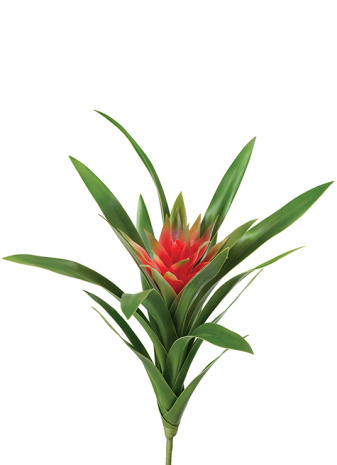 Искусственная Гусмания Элегант 300 мм зеленый с красным 20.0615190RD рис 1