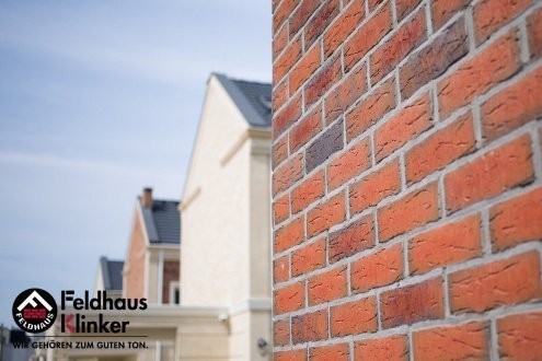 Клинкерная плитка Feldhaus Klinker Sintra R698NF14 terracotta bario 240х71х14 мм плоский элемент рис 6
