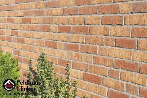 Клинкерная плитка Feldhaus Klinker Sintra R686NF14 ardor calino 240х71х14 мм плоский элемент рис 7