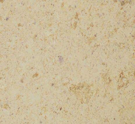 Натуральный камень Фельзит полированный 600х300х20 мм бежевый рядовая плитка рис 1