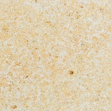 Натуральный камень Ракушечник Дагестанский пиленый 600х300х20 мм желтый рядовая плитка рис 1