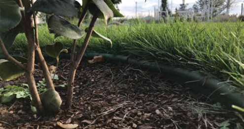 Бордюр пластиковый Standartpark Kanta SP Б-1000.10.02-ПП 10000х16х100 мм оливковый 82552-Ол рис 3